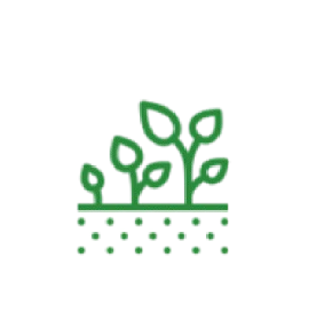 Gardens Gardens