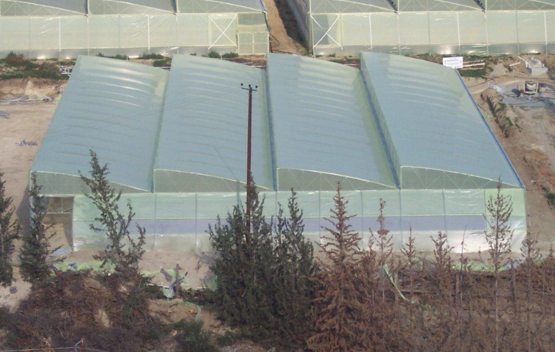 Rayyan Saw-Tooth Greenhouse